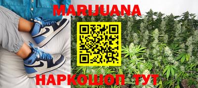 apvp Тулун