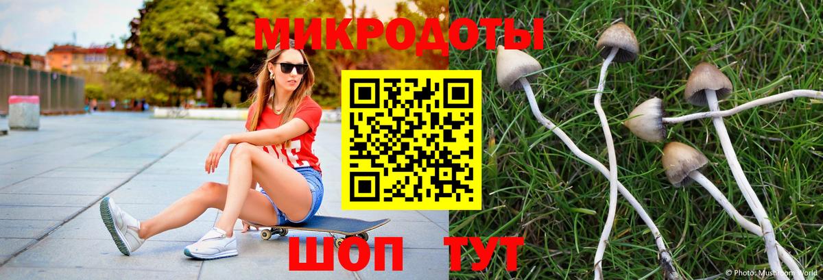 Архангельск  Галлюциногенные грибы GOLDEN TEACHER  даркнет сайт  Вход с VPN 